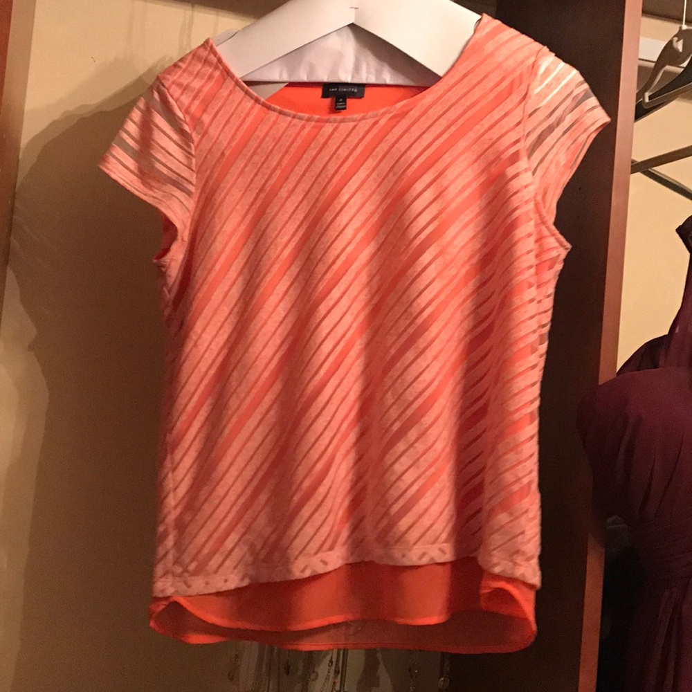 The Limited flowy blouse with sheer trim